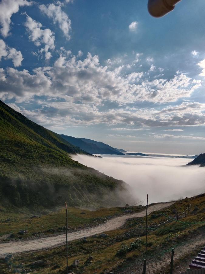 Avusor Mola Cafe Ve Pansiyon Çamlıhemşin Buitenkant foto